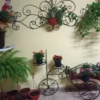 La imagen 3 de la Empresa 3 REYES HERRERÍA & ALUMINIO Maquinaria y Equipos para Construcción en Culiacán SIN