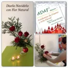 La imagen 3 de la Empresa ACADEMIA DE DISEÑO Y ARTE FLORAL Industrias y Agricultura en Monterrey NLE