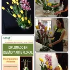 La imagen 5 de la Empresa ACADEMIA DE DISEÑO Y ARTE FLORAL Industrias y Agricultura en Monterrey NLE