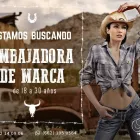 La imagen 7 de la Empresa AGENCIA KREA MODELS Video y Sonido Profesional en Hermosillo SON