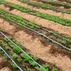 La imagen 1 de la Empresa AGROFERRETERA HIDRÁULICA DE SALAMANCA Trabajos en metal en Salamanca GUA