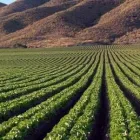 La imagen 3 de la Empresa AGROFERRETERA HIDRAULICA Trabajos en metal en Irapuato GUA