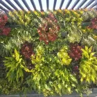 La imagen 1 de la Empresa ALUX DE MÉXICO GESTORES AMBIENTALES Sistemas y Equipos de Riego en Ciudad De México CMX