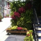 La imagen 5 de la Empresa ALUX DE MÉXICO GESTORES AMBIENTALES Sistemas y Equipos de Riego en Ciudad De México CMX