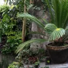 La imagen 7 de la Empresa ALUX DE MÉXICO GESTORES AMBIENTALES Sistemas y Equipos de Riego en Ciudad De México CMX