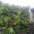 La imagen 8 de la Empresa ALUX DE MÉXICO GESTORES AMBIENTALES Sistemas y Equipos de Riego en Ciudad De México CMX