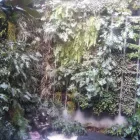 La imagen 11 de la Empresa ALUX DE MÉXICO GESTORES AMBIENTALES Sistemas y Equipos de Riego en Ciudad De México CMX