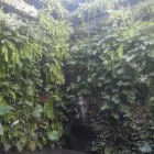 La imagen 12 de la Empresa ALUX DE MÉXICO GESTORES AMBIENTALES Sistemas y Equipos de Riego en Ciudad De México CMX