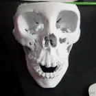 La imagen 8 de la Empresa ANATOMICAL 3D SA DE CV Salud y Medicina en Guadalajara JAL
