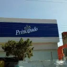 La imagen 2 de la Empresa ARCO LUMINOSO Servicios Profesionales y de Negocios en Veracruz VER