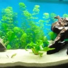 La imagen 5 de la Empresa ARENA SILICA ALVAMA Servicios Profesionales y de Negocios en Ciudad De México CMX