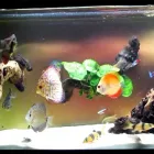 La imagen 7 de la Empresa ARENA SILICA ALVAMA Servicios Profesionales y de Negocios en Ciudad De México CMX