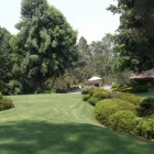 La imagen 2 de la Empresa ARTE Y DISEÑO DE JARDINERIA-JOSÉ MERCELL Industrias y Agricultura en Ciudad De México CMX