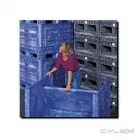 La imagen 3 de la Empresa ARTMI TARIMAS Y CONTENEDORES Servicios Profesionales y de Negocios en Pedro Escobedo QUE