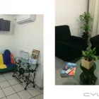 La imagen 11 de la Empresa AS AUTOMOTRIZ SA DE CV Refacciones y Accesorios para Automóviles y Camiones en Veracruz VER