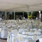 La imagen 5 de la Empresa ASHLEY'S RENTA FIESTA Arte, Entretenimiento y Vida Nocturna en Celaya GUA