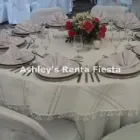 La imagen 8 de la Empresa ASHLEY'S RENTA FIESTA Arte, Entretenimiento y Vida Nocturna en Celaya GUA