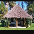 La imagen 3 de la Empresa ASOCIACION DE JARDINEROS DE XOCHIMILCO Industrias y Agricultura en Ciudad De México CMX