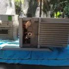 La imagen 4 de la Empresa ASPAS DE CARBÓN Servicios Profesionales y de Negocios en Chalco De Díaz Covarrubias MEX