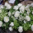 La imagen 3 de la Empresa ATICO FLORAL Industrias y Agricultura en Monterrey NLE