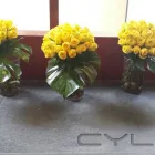 La imagen 7 de la Empresa ATICO FLORAL Industrias y Agricultura en Monterrey NLE