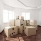 La imagen 1 de la Empresa AUTOTRANSPORTE Y MUDANZAS IXOYE Transportes y Turismo en Acapulco GRO