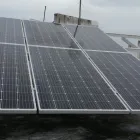 La imagen 1 de la Empresa B-SUNNY Industrias y Agricultura en Tlalpan CMX