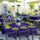 La imagen 8 de la Empresa BANQUETES FRICASH S.A DE C.V Video y Sonido Profesional en Cuautla De Morelos MOR