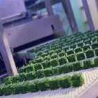 La imagen 2 de la Empresa BARMEX Maquinaria, Equipos y Servicios en Mexico CMX