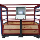 La imagen 2 de la Empresa BASCULASYBASCULASS Servicios Profesionales y de Negocios en León De Los Aldama GUA