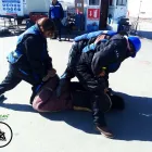 La imagen 3 de la Empresa BEGECAN ADIESTRAMIENTO Y SERVICIO PRIVADO EN SEGURIDAD CANINA S.A. DE C.V. Servicios Profesionales y de Negocios en San Miguel Zinacantepec MEX