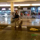 La imagen 6 de la Empresa BEGECAN ADIESTRAMIENTO Y SERVICIO PRIVADO EN SEGURIDAD CANINA S.A. DE C.V. Servicios Profesionales y de Negocios en San Miguel Zinacantepec MEX