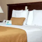 La imagen 12 de la Empresa BEST WESTERN HOTEL POSADA DEL RIO EXPRESS Transportes y Turismo en Torreon COA