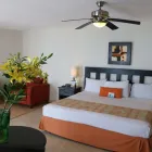 La imagen 31 de la Empresa BEST WESTERN HOTEL POSADA FREEMAN ZONA DORADA Transportes y Turismo en Mazatlán SIN