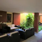 La imagen 41 de la Empresa BEST WESTERN HOTEL POSADA FREEMAN ZONA DORADA Transportes y Turismo en Mazatlán SIN