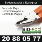 La imagen 2 de la Empresa BIO-ECO CONTROL DE PLAGAS Servicios Profesionales y de Negocios en Monterrey NLE