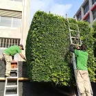La imagen 6 de la Empresa BIOLINE CONTROL AMBIENTAL Sistemas y Equipos de Riego en Ciudad De México CMX