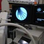 La imagen 4 de la Empresa BIOMÉDICA DEL SUR Servicios Profesionales y de Negocios en Cortazar GUA