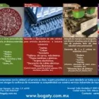 La imagen 1 de la Empresa BOGATY S.A. DE C.V. Servicios Profesionales y de Negocios en Zapopan JAL