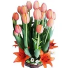 La imagen 2 de la Empresa BOUTIQUE FLORAL Industrias y Agricultura en Ciudad De México CMX