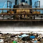 La imagen 1 de la Empresa BUENA VISTA SERVICIOS Servicios Profesionales y de Negocios en Mexicali BCN