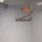 La imagen 1 de la Empresa CAMMEX - SISTEMAS REFRIGERADOS Servicios Profesionales y de Negocios en Ciudad De México CMX