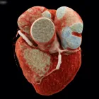 La imagen 2 de la Empresa CARDIODINAMICS Salud y Medicina en Zapopan JAL