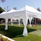 La imagen 1 de la Empresa CARPAS ELEGANTES VINO TINTO Arte, Entretenimiento y Vida Nocturna en San Andrés Cholula PUE