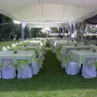 La imagen 2 de la Empresa CARPAS ELEGANTES VINO TINTO Arte, Entretenimiento y Vida Nocturna en San Andrés Cholula PUE