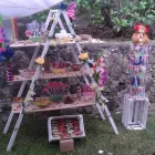 La imagen 14 de la Empresa CASA VELEZ Servicios Profesionales y de Negocios en Jiutepec MOR