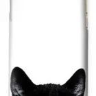 La imagen 1 de la Empresa CASE LOVE Tienda de Móviles en Monterrey NLE