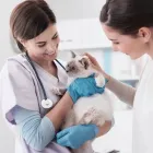 La imagen 1 de la Empresa CENTRO VETERINARIO XALAPA Salud y Medicina en Xalapa VER
