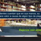 La imagen 4 de la Empresa CEPLA FUMIGACIONES® Servicios Profesionales y de Negocios en Ciudad Juárez CHH