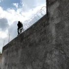 La imagen 3 de la Empresa CERCAMOR Industrias y Agricultura en Jiutepec MOR